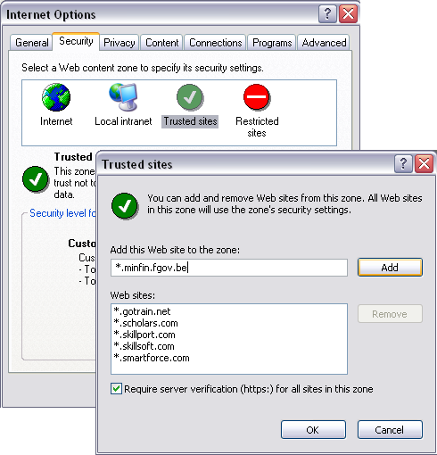 Internet Explorer Java Plug In 1.6.0 11